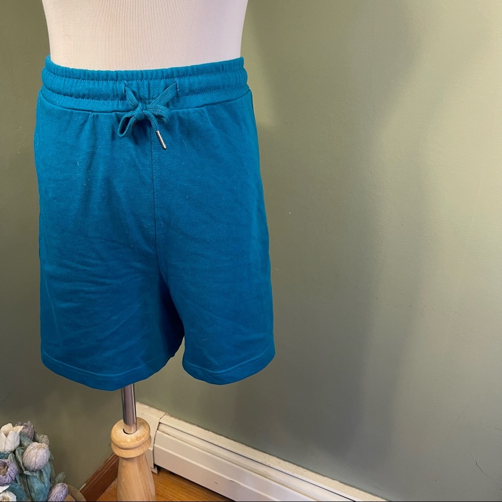 NWOT 4x (28W-30W) Terra & Sky shorts - Picture 8 of 8